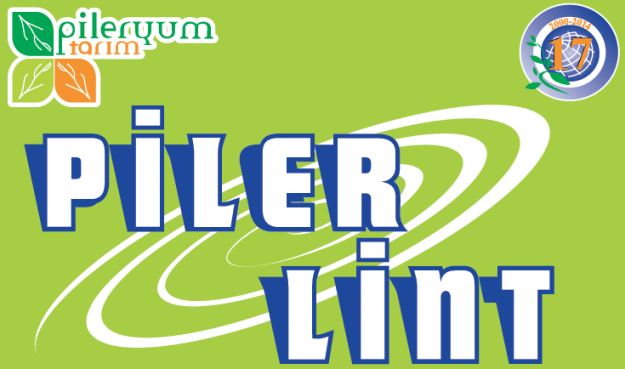 PİLER LİNT